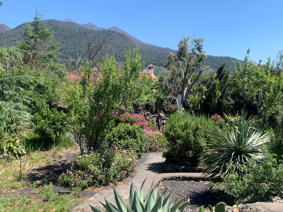 הוילה אל פאסו Casa Piedras Blancas With Private Garden מראה חיצוני תמונה