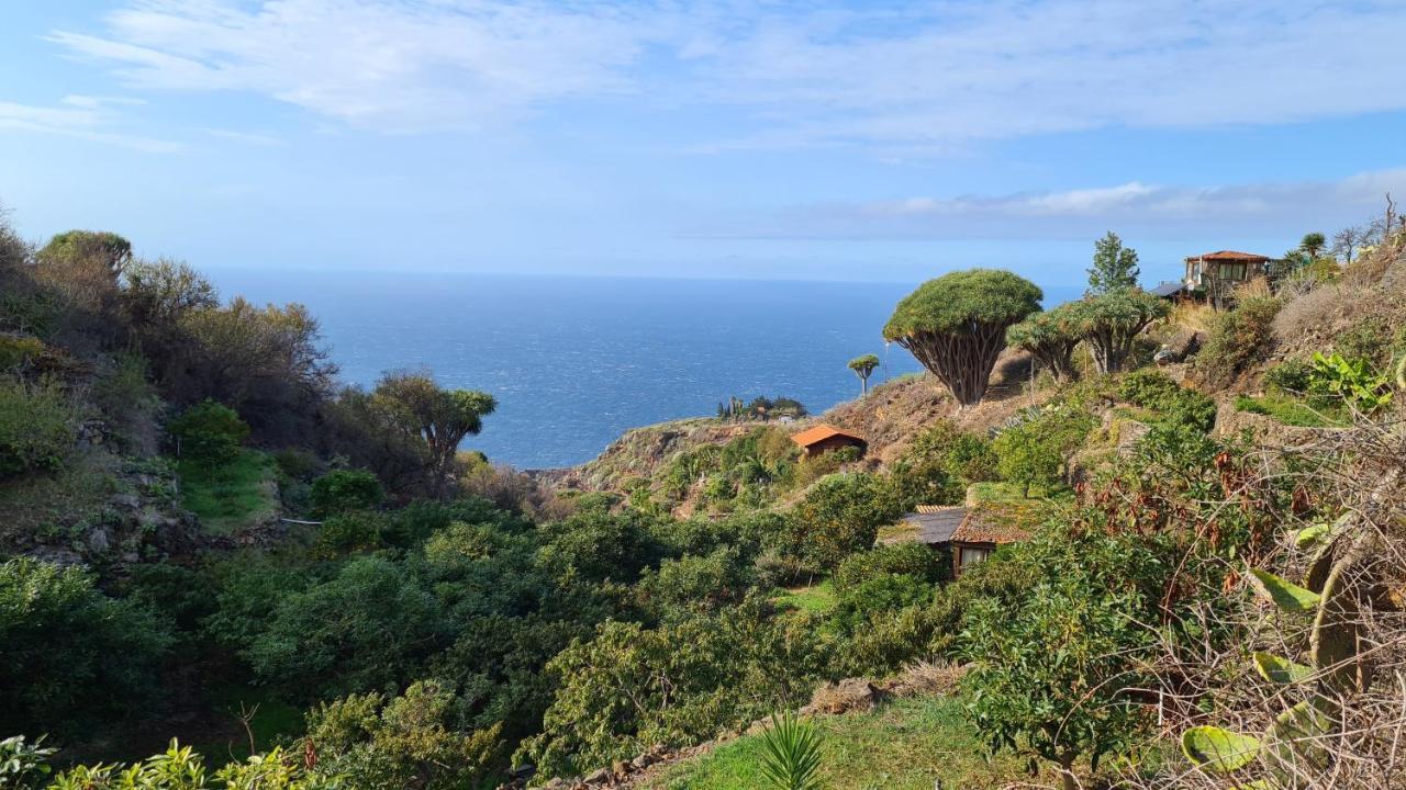 הוילה אל פאסו Casa Piedras Blancas With Private Garden מראה חיצוני תמונה